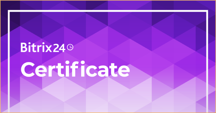 Bitrix24 Essentials: Fundamental Online Training